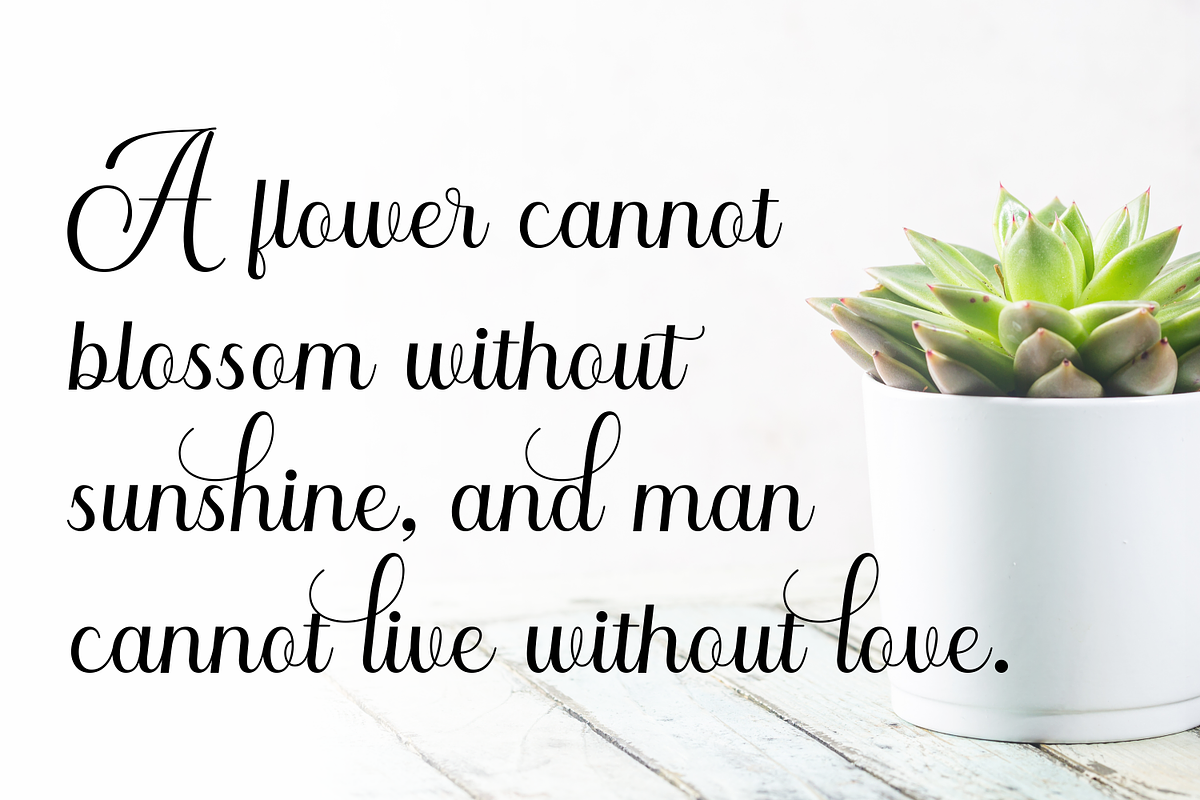 Maryam - Elegant Calligraphy Font, a Script Font by Imiftype Studio (Photo 7 of 10)