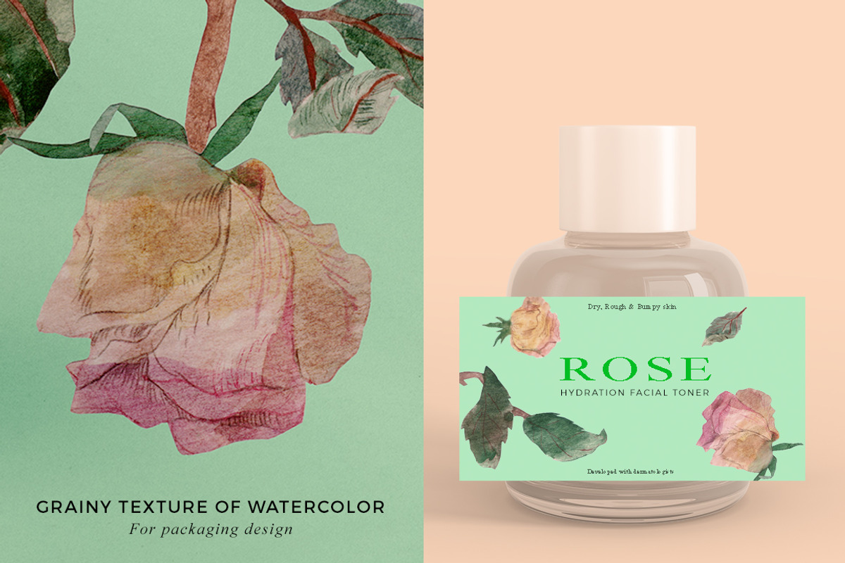 Faded Roses Watercolor, an Object Illustration by Volga_Store (Photo 3 of 9)