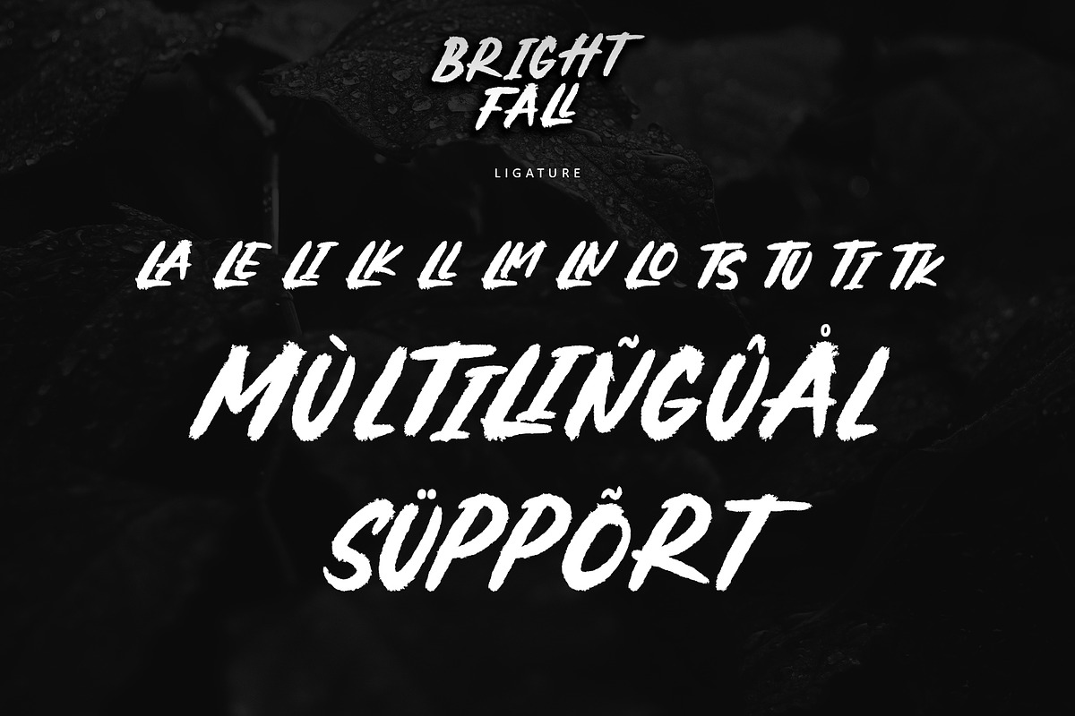 Brightfall, a Handwritten Font by Letterara (Photo 7 of 8)