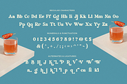 Vacation Paradise - Modern Retro, a Serif Font by Windfall Co (Thumbnail 9 of 10)