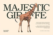 Asher Elegant Serif Font Typeface, a Serif Font by Perfectype (Thumbnail 5 of 10)