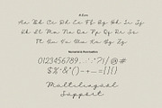 Belanda - Monoline & Singleline font, a Script Font by Subectype Studio (Thumbnail 8 of 9)