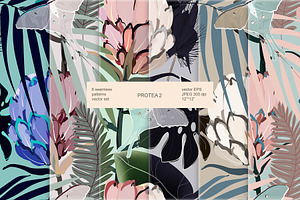 Protea Vector Seamless Set