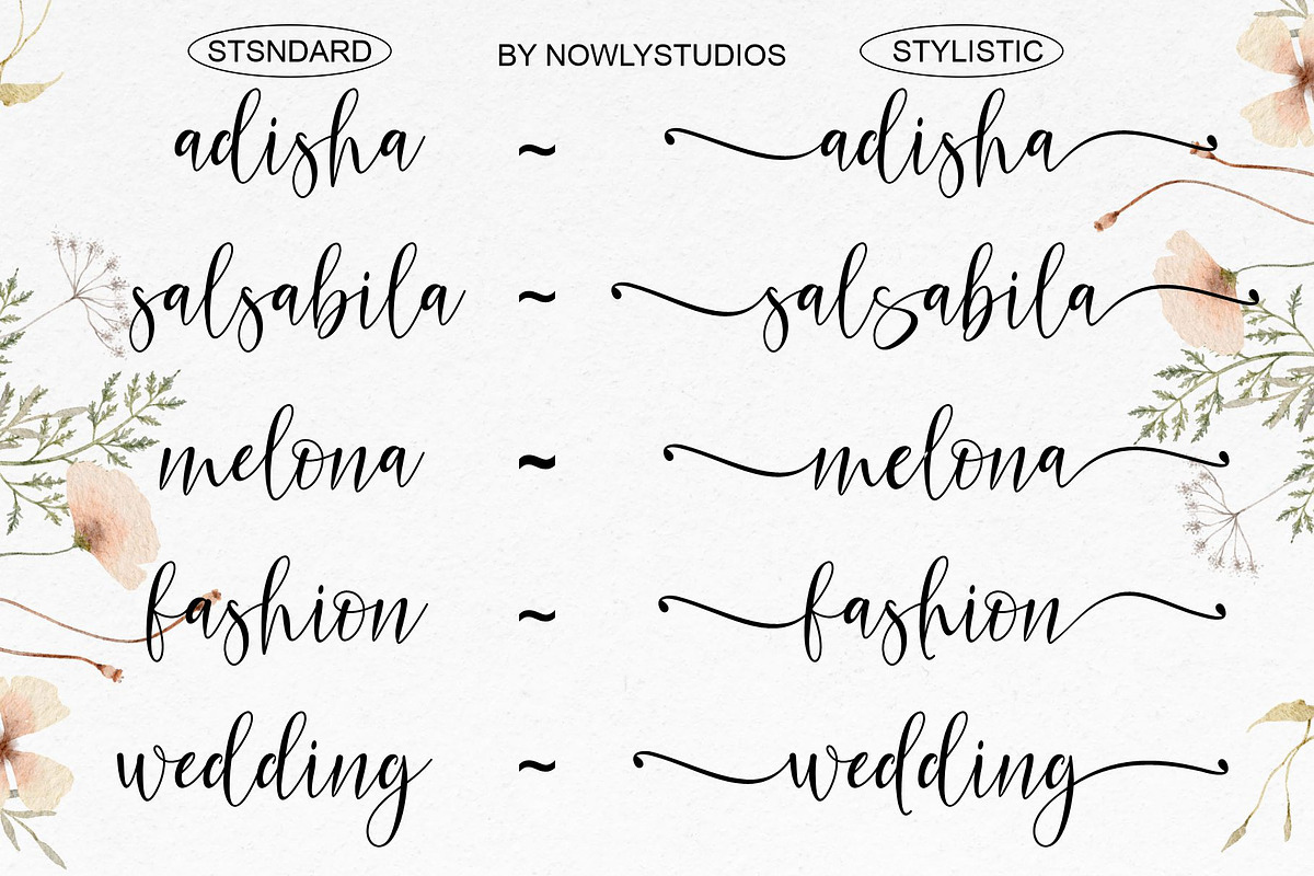 Adisha Script, a Script Font by Nowlystudios (Photo 5 of 7)