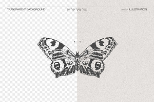 Drawings Of Butterflies