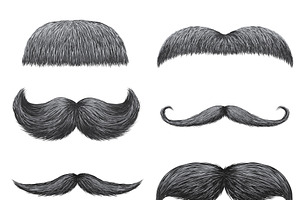 Different Styles Of Male Mustaches