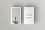 NATURALIS Business Card Template, a Business Card Template by 46&2 Collective (Thumbnail 3 of 9)