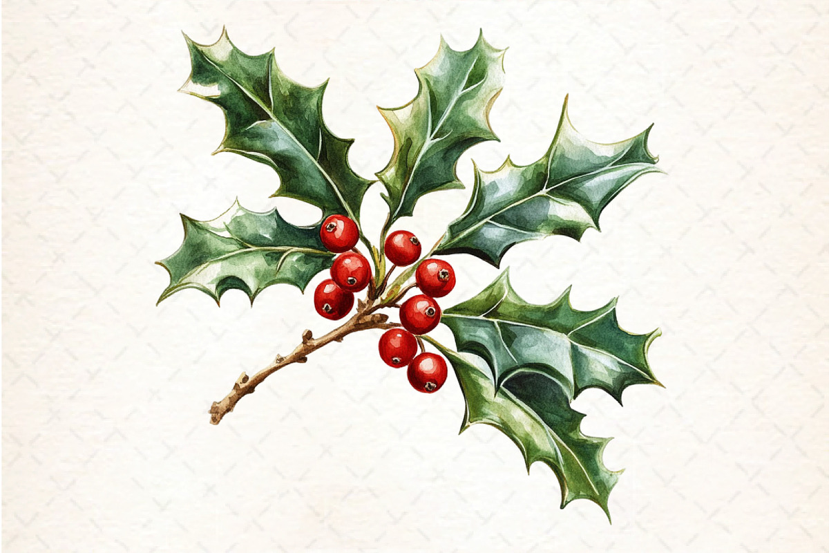 Watercolor Christmas Clipart PNG Bun, an Illustration by DreamCafeArt (Photo 5 of 5)