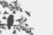 Autumn Shadows +Bonus Spooky Shadows, an Object Graphic by Jessica Fadel Design (Thumbnail 15 of 18)