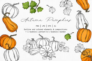 Autumn Pumpkins Hand Drawn Graphics