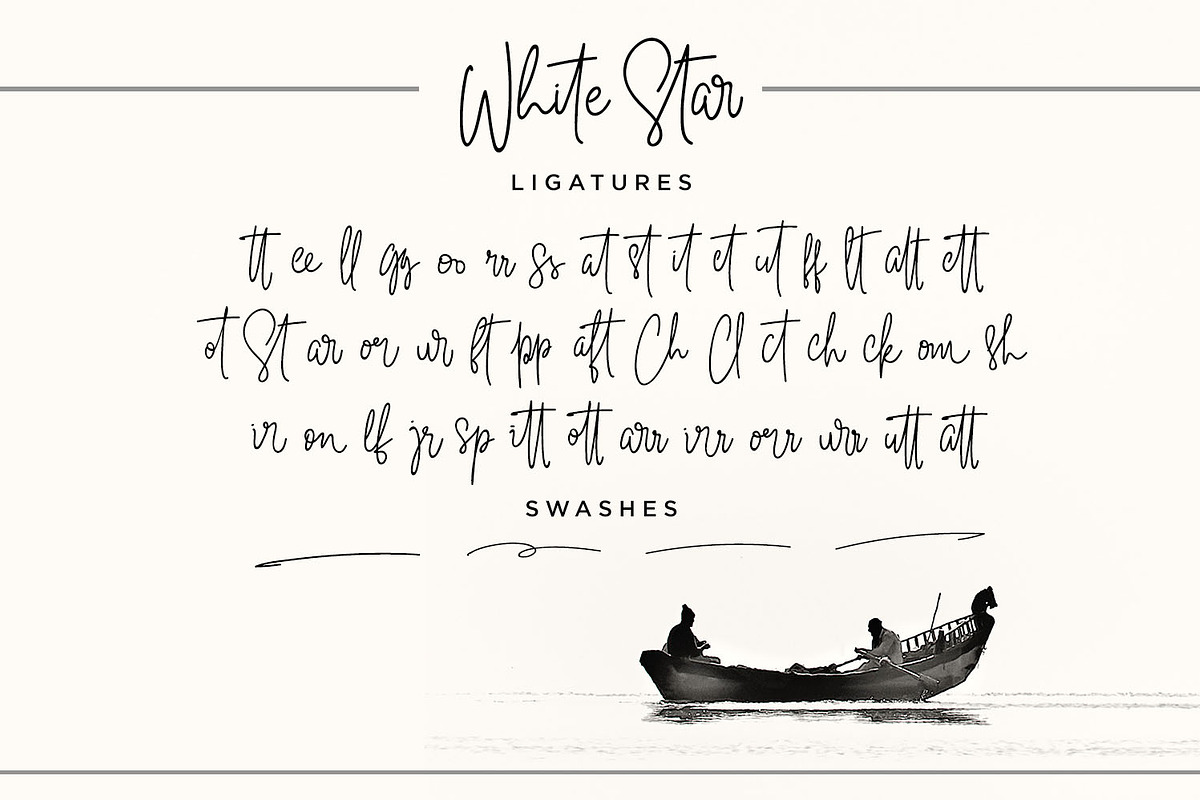 White Star - Chic Handwritten Font, a Script Font by din-studio.com (Photo 5 of 8)
