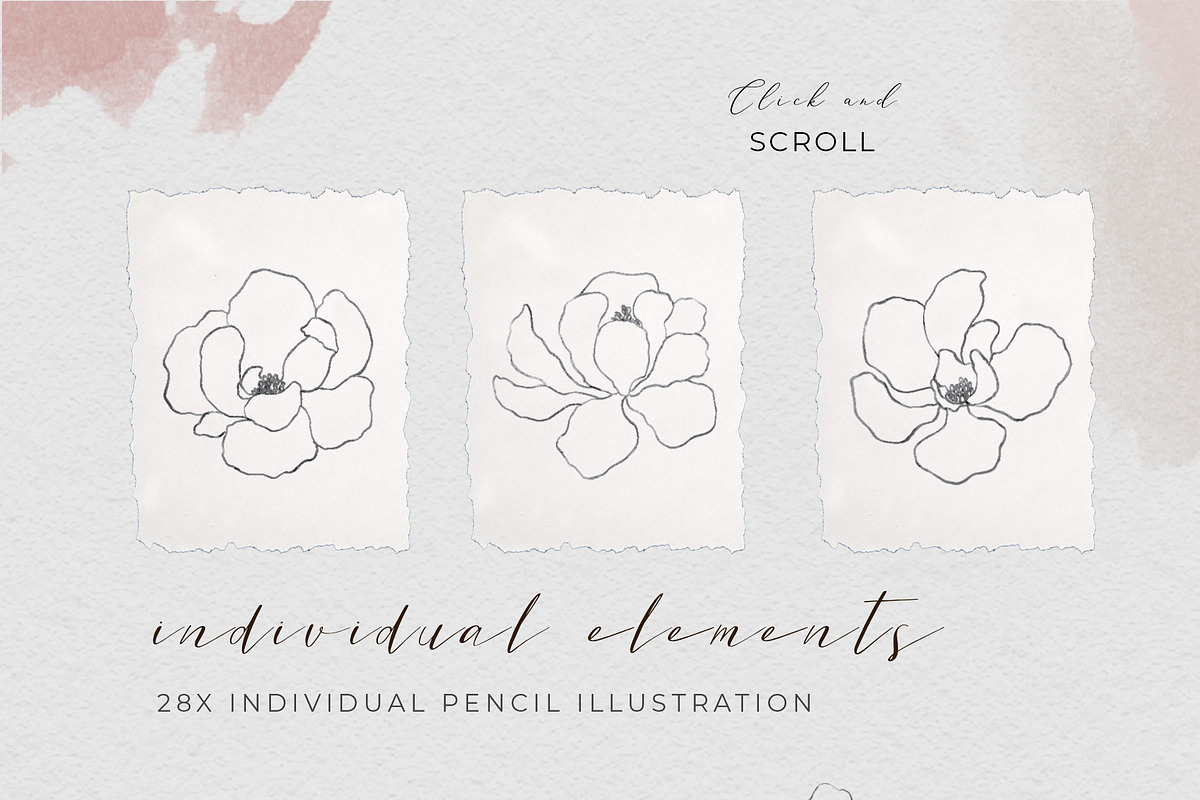 Magnolia Flower Clipart Fine art, a Decorative Illustration by WalaPalette (Photo 2 of 6)