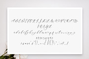 San Francisco Font, a Script Font by The Besotted Co (Thumbnail 6 of 14)
