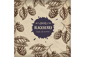 Blackberry Raspberry design template. Blackberry Raspberry branch engraving illustration. Vector illustration