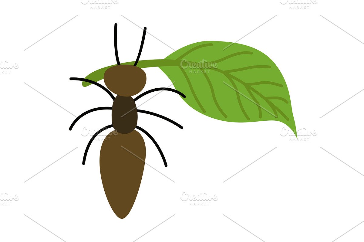 Vector image of a cute, an Animal Illustration by Things for designers