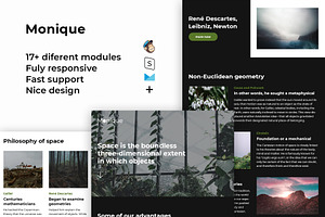 Monique Responsive Email Template