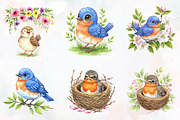 Summer Baby Birds Clipart, an Illustration by RobertsArt (Thumbnail 6 of 7)