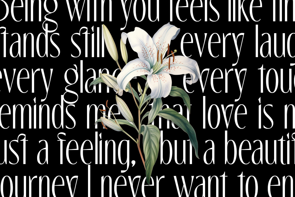 The Marlynes Classy Elegant Serif, a Serif Font by Letterhend Studio (Photo 9 of 9)