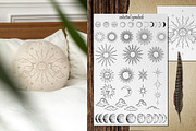 MAGIC collection - Vector ClipArt, an Animal Illustration by Evgenia Pichkur (Thumbnail 4 of 12)