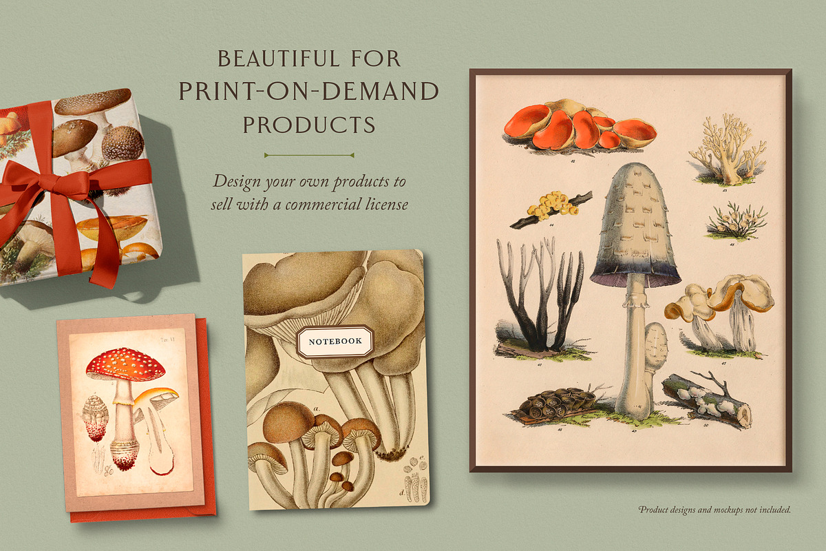 75 Vintage Mushroom Ephemera Artwork, a Decorative Illustration by The Object Atlas (Photo 3 of 7)