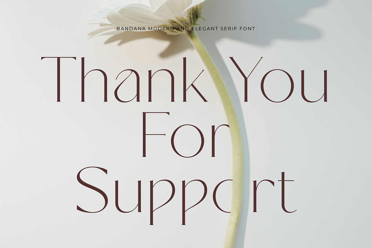 Bandana | Modern And Elegant Serif, a Serif Font by Muflieart (Photo 9 of 9)