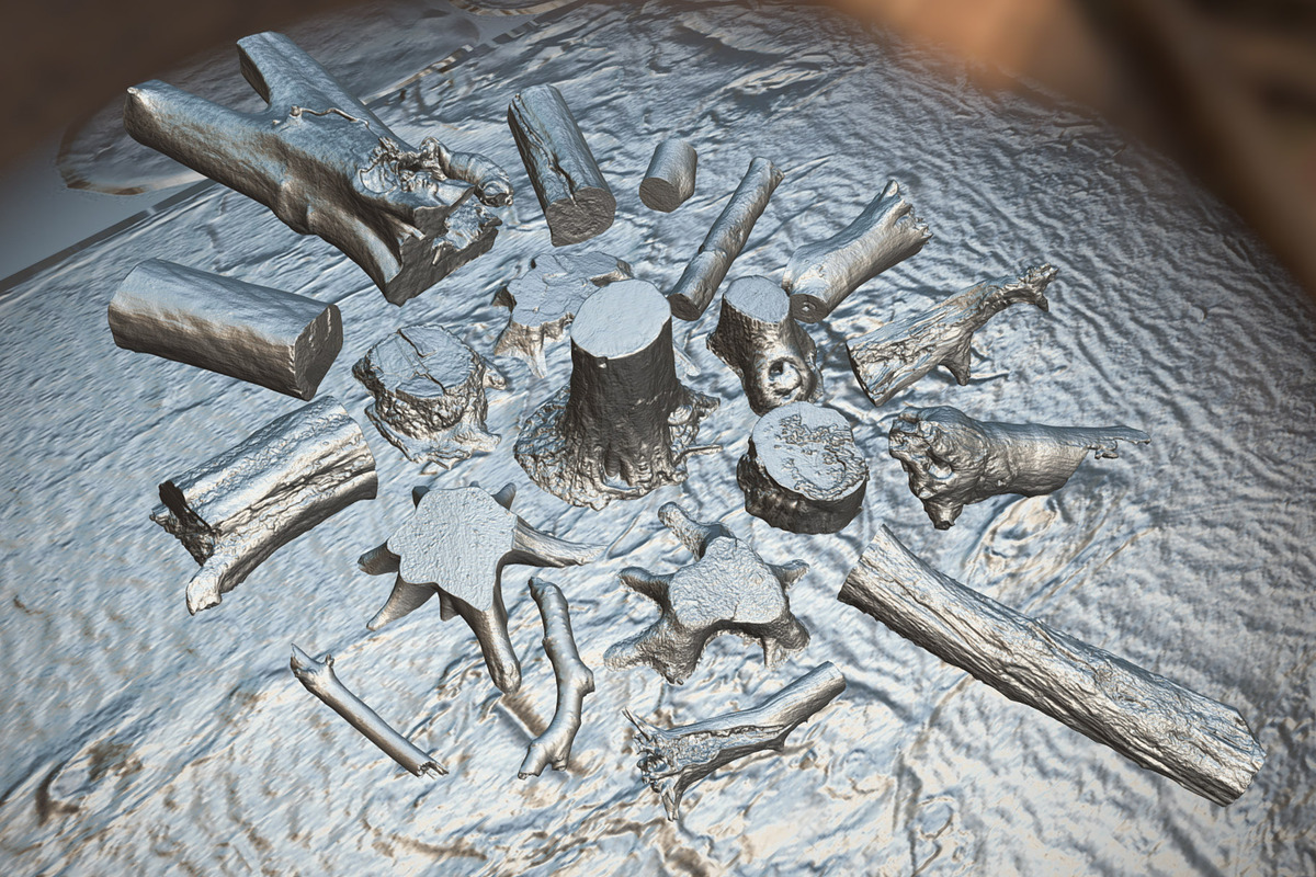 Forest Elements, an Environmental 3D Model by Beatheart Creative Studio (Photo 22 of 25)