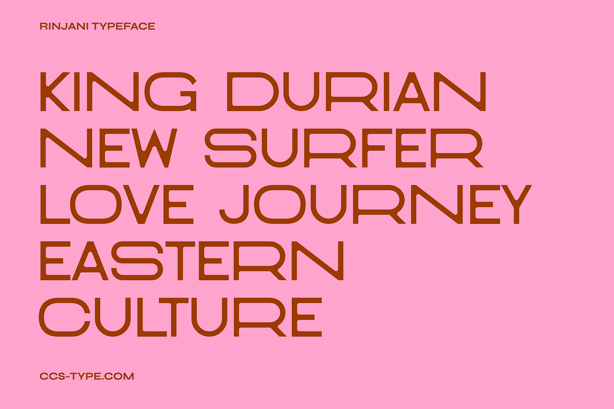 Rinjani Sans - Wide Stretch Typeface, a Sans Serif Font by CCS Type (Photo 4 of 19)