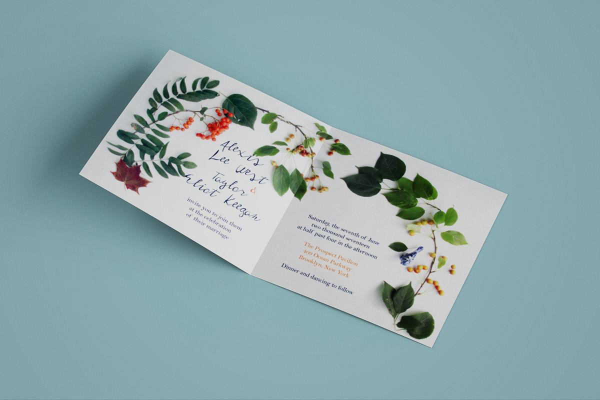 Moloko script family preview 2