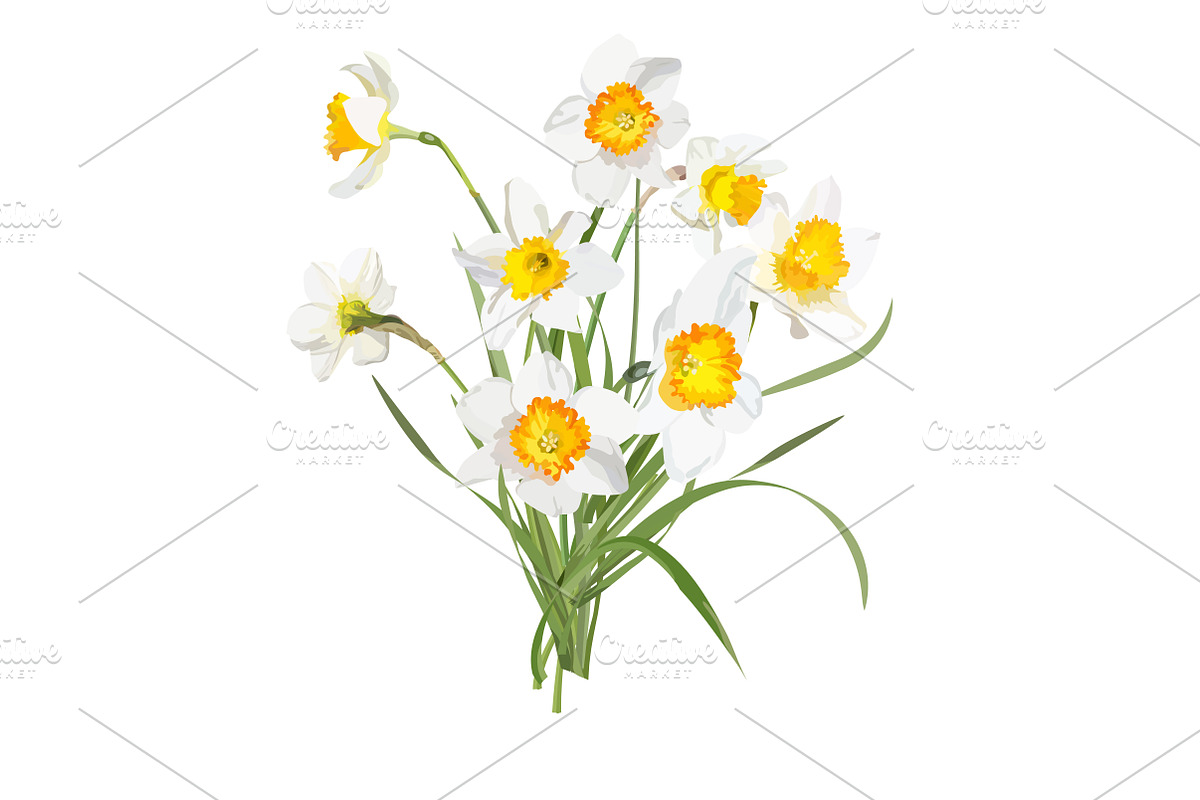 Daffodils Bouquets., an Object Graphic by Peolla (Photo 9 of 9)