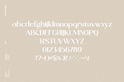 Miguel, a Serif Font by din-studio.com (Thumbnail 9 of 11)