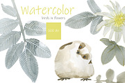 Birds in flowers, an Illustration by Novikova Lida (Thumbnail 1 of 8)