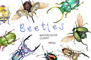Watercolor Clipart Beetle Insect art, a Decorative Illustration by NKTKNS (Thumbnail 1 of 7)
