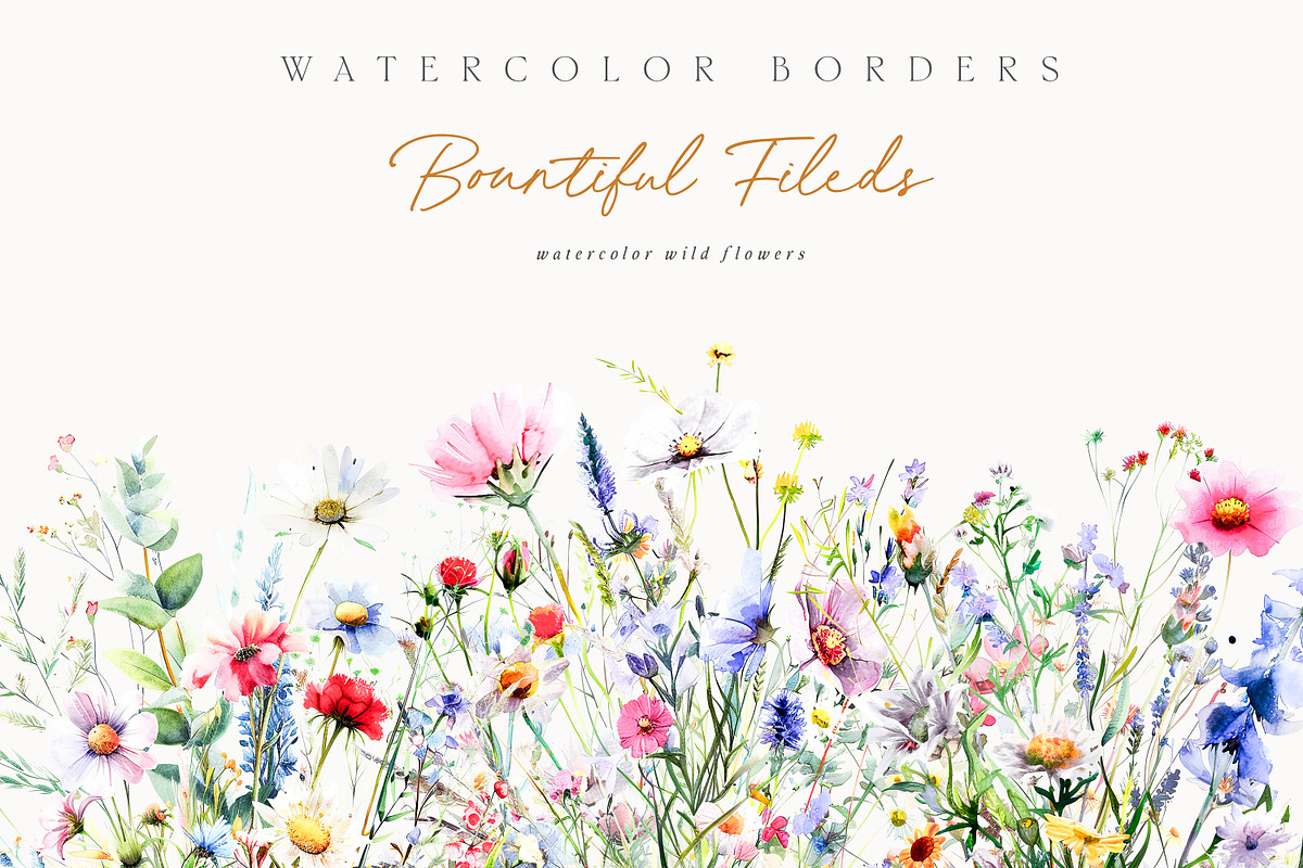 New! Wild Flowers Edition, a Seasonal Illustration by Isabelle Salem (Photo 30 of 155)