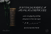 Saint James /The Blessed Script Font, a Script Font by AndrewPixel (Thumbnail 7 of 7)