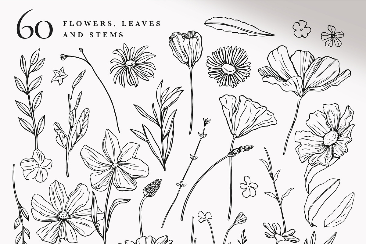 Monochrome Magic 4 in 1 Bundle, a Decorative Illustration by rouxsupplyco (Photo 22 of 27)
