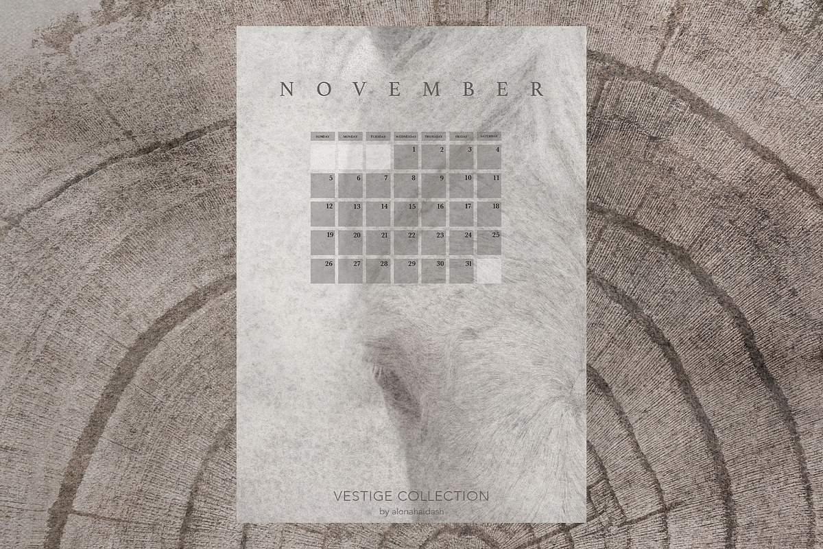 Vestige II · Organic Backgrounds, a Background Graphic by alonahaidash (Photo 7 of 16)