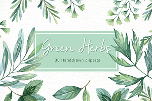 Green Herbs Watercolor Clipart