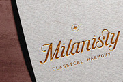 Hottest Springs Typeface, a Script Font by Letter Fresh (Thumbnail 12 of 12)
