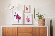 Orchid flowers watercolor, a Decorative Illustration by Hanna Hryharenka (Thumbnail 3 of 9)