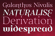 Eirlys Normal, a Serif Font by Typomancer (Thumbnail 4 of 6)