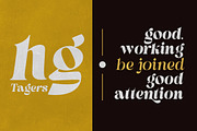 Pronela (Serif Family Typeface), a Font by Fontastic (Thumbnail 3 of 15)
