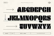 Thick Thinks - Display Font, a Font by Martype Co (Thumbnail 8 of 11)