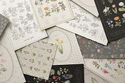 Wildflowers. Hand drawn pencil flora, a Decorative Illustration by Kreker Kate (Thumbnail 2 of 12)