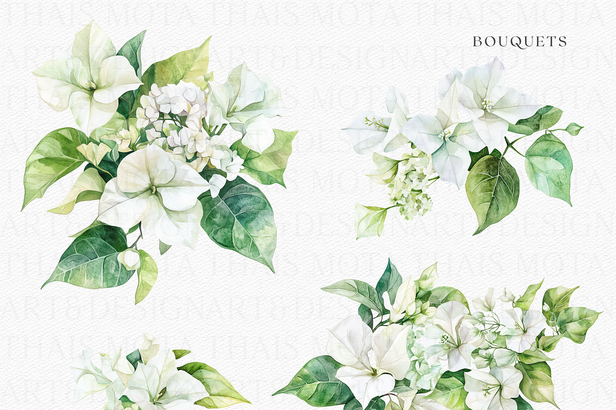 Watercolor Bougainvillea &Hydreangea, a Decorative Illustration by ThaismotaCreativeCo (Photo 3 of 11)