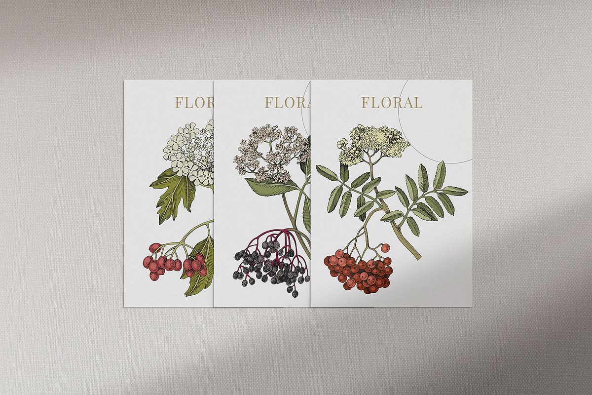 Medicinal plants collection, a Healthcare Illustration by handsketched (Photo 7 of 9)