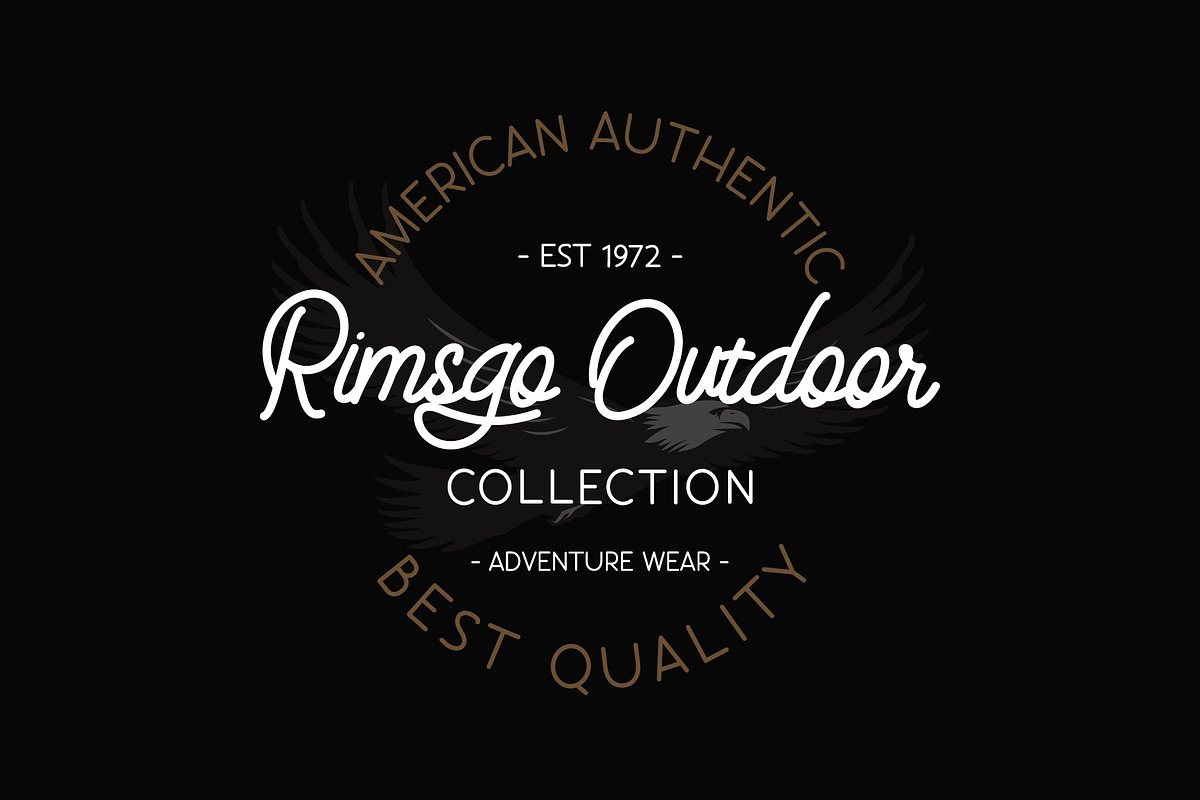 Eastsiders - Monoline Font Duo, a Script Font by Wellscript Studio (Photo 2 of 14)