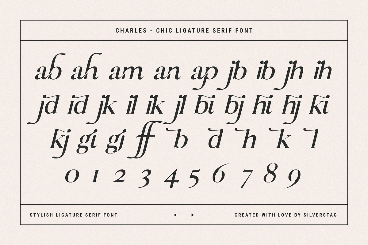Charles - Ligature Serif Font Family, a Serif Font by SilverStag Type Foundry (Photo 31 of 32)