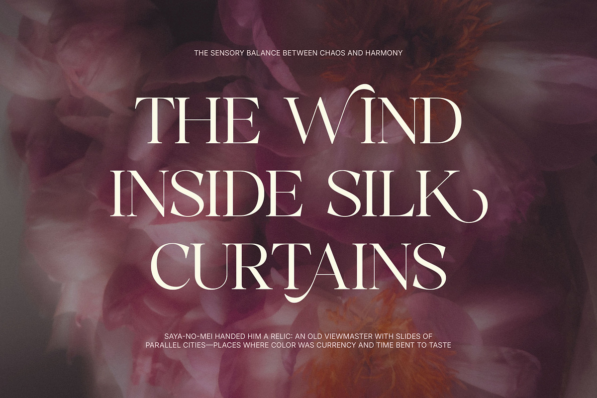 Deluxer - Elegant Modern Serif, a Serif Font by Typia Nesia (Photo 8 of 16)
