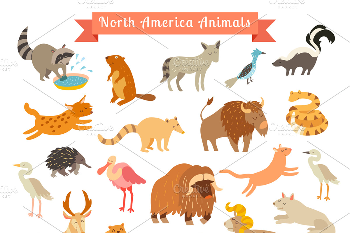North America animals, an Animal Illustration by Rimma