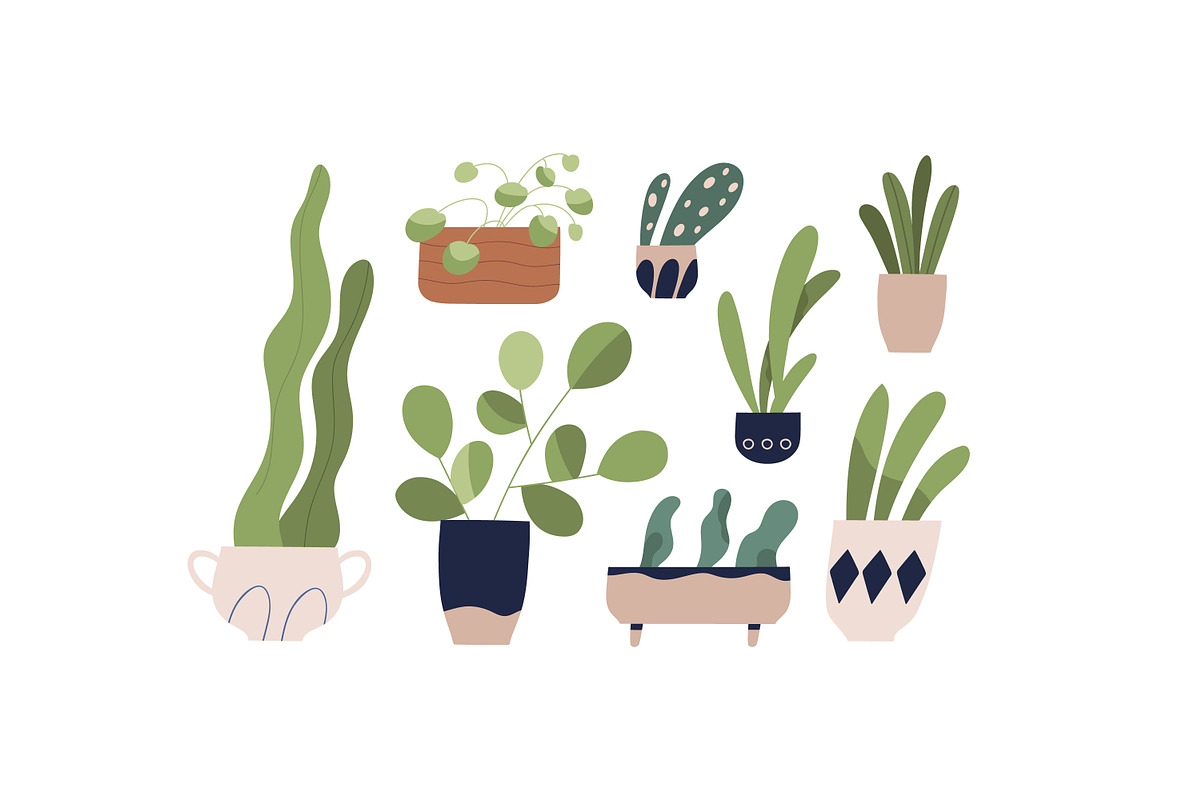 Houseplants, flowers in pots set, a Decorative Illustration by Good Studio (Photo 3 of 3)